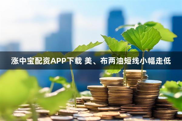 涨中宝配资APP下载 美、布两油短线小幅走低