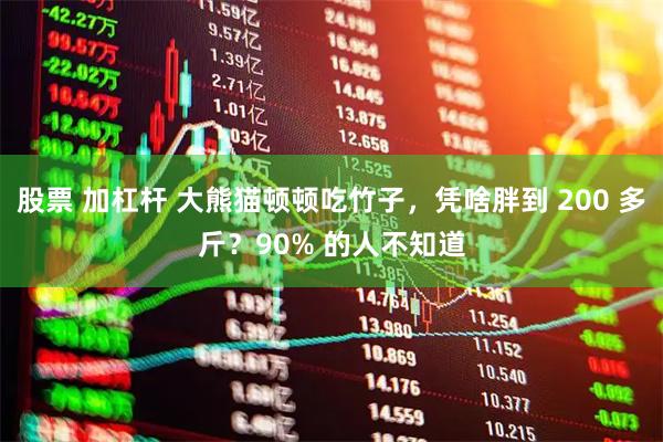 股票 加杠杆 大熊猫顿顿吃竹子，凭啥胖到 200 多斤？90% 的人不知道