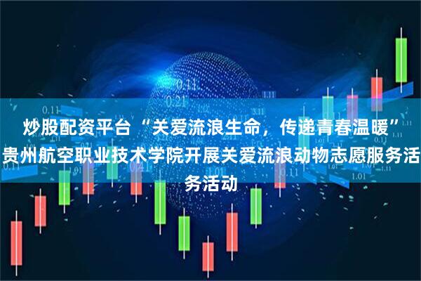 炒股配资平台 “关爱流浪生命，传递青春温暖”！贵州航空职业技术学院开展关爱流浪动物志愿服务活动